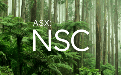 NSC_Tile-2
