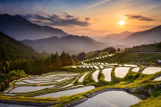 Japanese rice terraces at sunset. Maruyama-senmaida, Kumano, Japan..jpeg